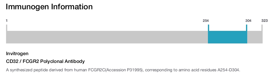 CD32 / FCGR2 Polyclonal Antibody