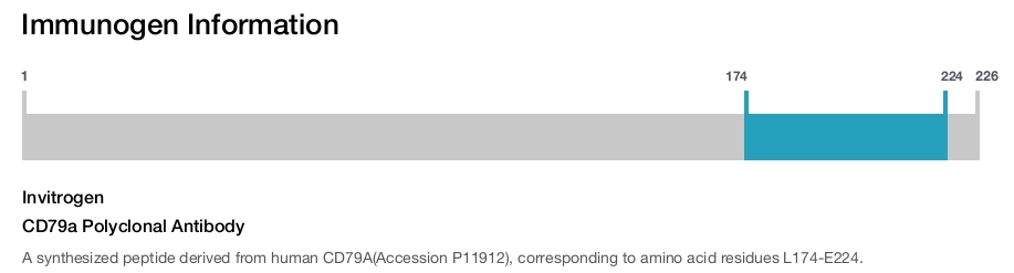 CD79a Polyclonal Antibody