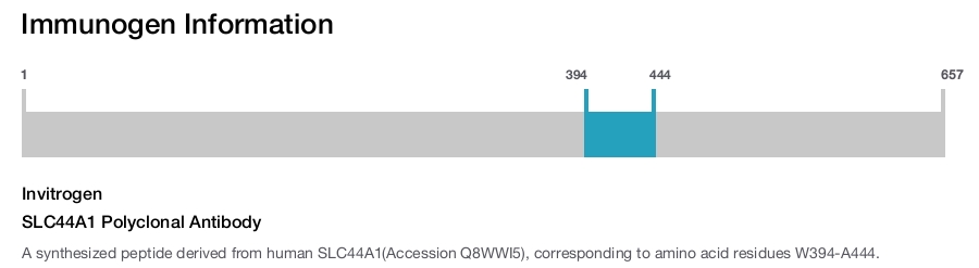 SLC44A1 Polyclonal Antibody