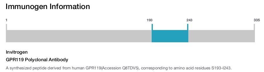 GPR119 Polyclonal Antibody