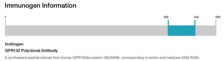 GPR132 Polyclonal Antibody