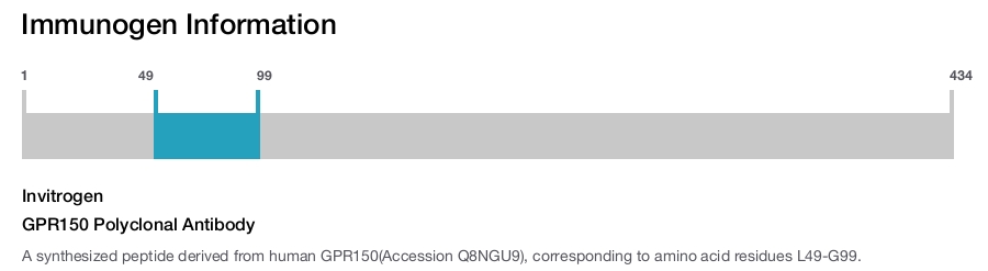GPR150 Polyclonal Antibody