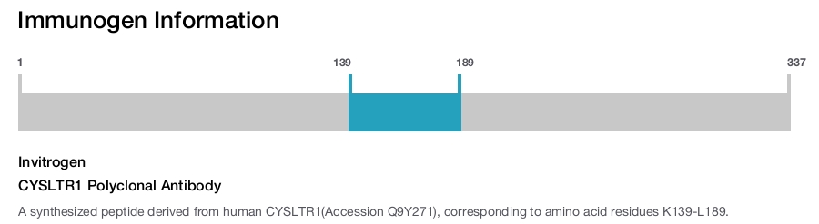 CYSLTR1 Polyclonal Antibody