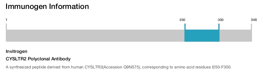CYSLTR2 Polyclonal Antibody