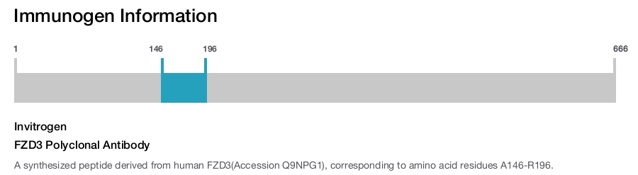 FZD3 Polyclonal Antibody