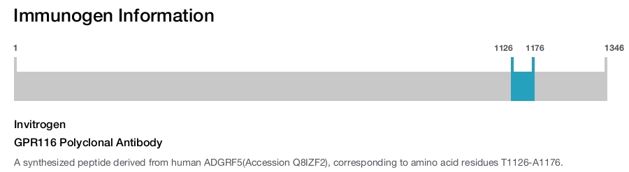 GPR116 Polyclonal Antibody