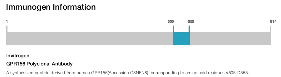 GPR156 Polyclonal Antibody