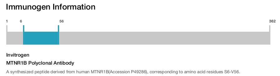 MTNR1B Polyclonal Antibody