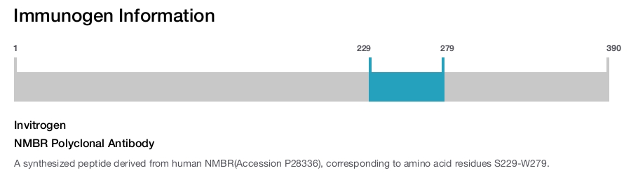 NMBR Polyclonal Antibody