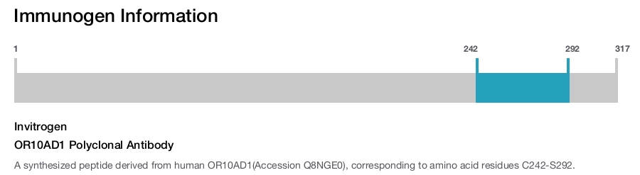 OR10AD1 Polyclonal Antibody