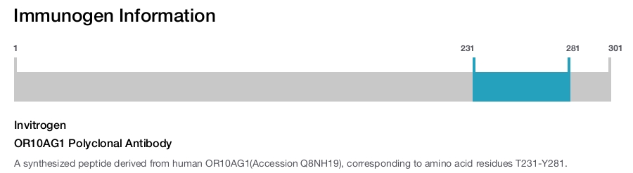 OR10AG1 Polyclonal Antibody