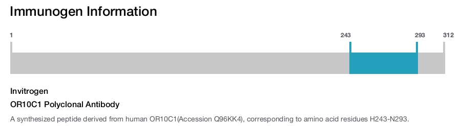 OR10C1 Polyclonal Antibody