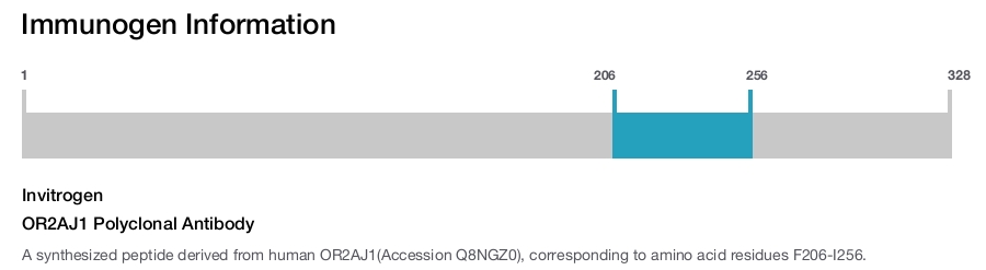 OR2AJ1 Polyclonal Antibody