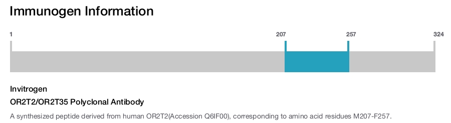 OR2T2/OR2T35 Polyclonal Antibody