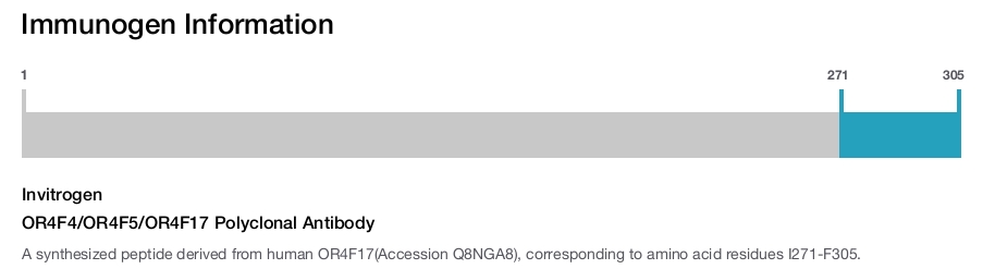 OR4F4/OR4F5/OR4F17 Polyclonal Antibody
