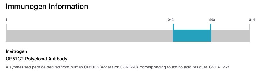 OR51G2 Polyclonal Antibody