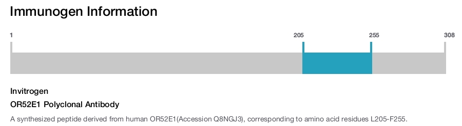 OR52E1 Polyclonal Antibody