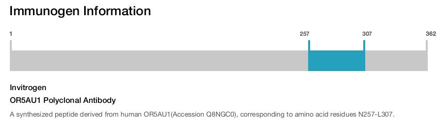 OR5AU1 Polyclonal Antibody