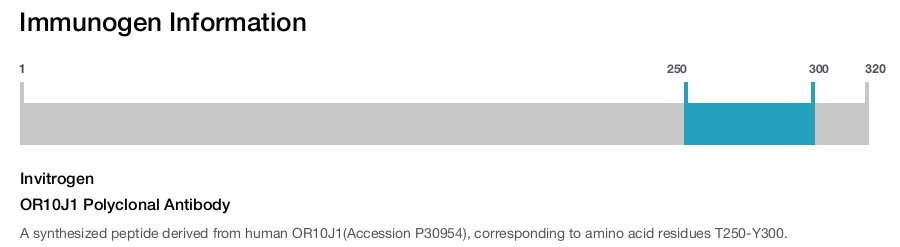 OR10J1 Polyclonal Antibody