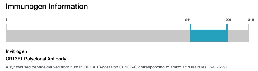 OR13F1 Polyclonal Antibody