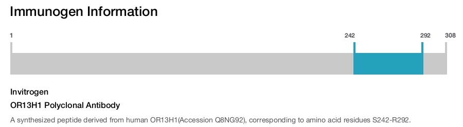 OR13H1 Polyclonal Antibody