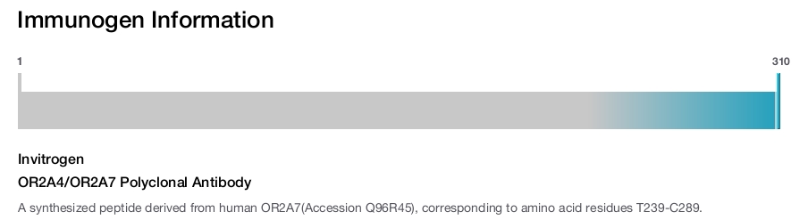 OR2A4/OR2A7 Polyclonal Antibody