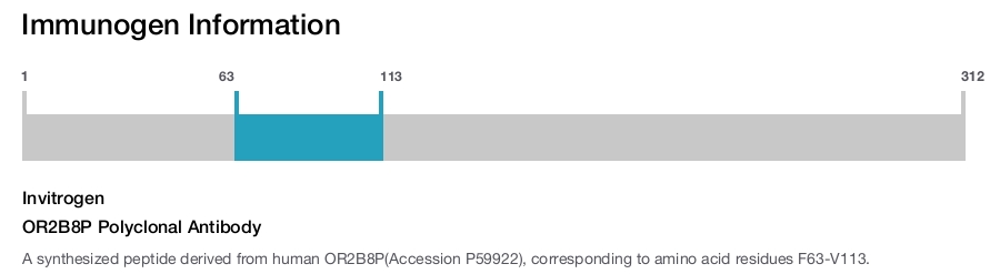 OR2B8P Polyclonal Antibody