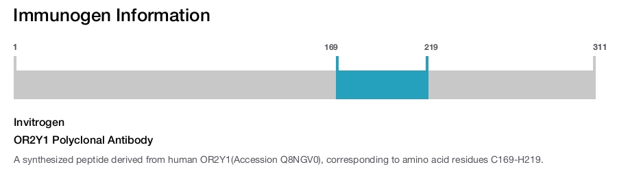 OR2Y1 Polyclonal Antibody