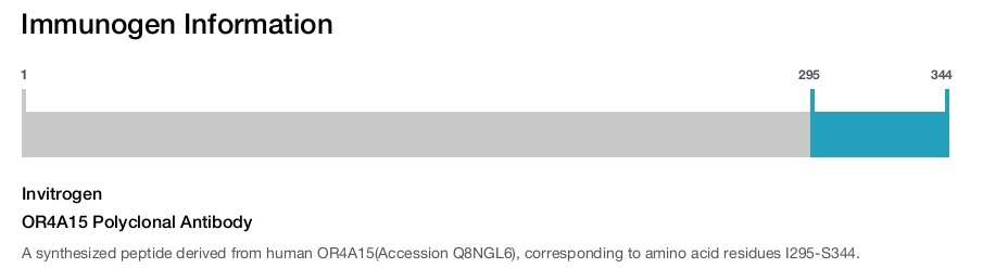 OR4A15 Polyclonal Antibody