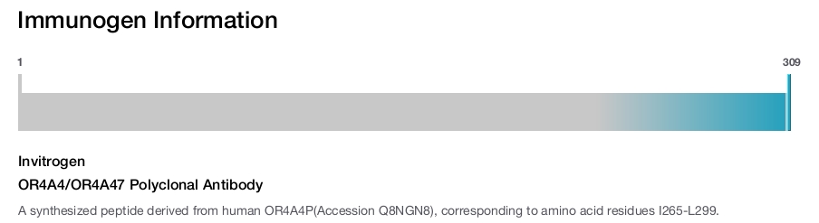 OR4A4/OR4A47 Polyclonal Antibody