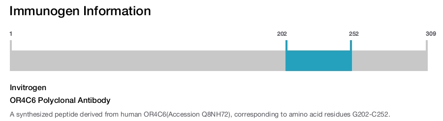 OR4C6 Polyclonal Antibody