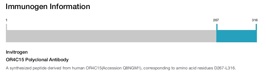 OR4C15 Polyclonal Antibody