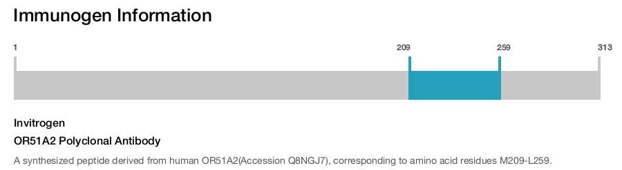 OR51A2 Polyclonal Antibody