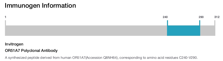 OR51A7 Polyclonal Antibody