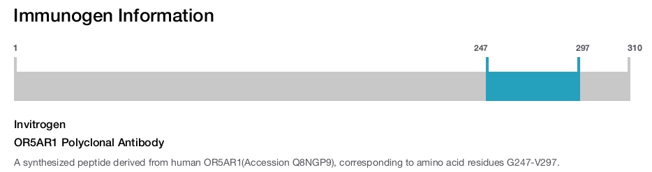 OR5AR1 Polyclonal Antibody