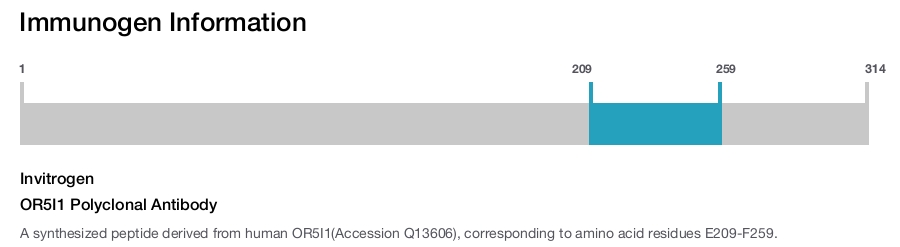 OR5I1 Polyclonal Antibody