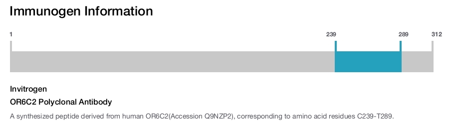 OR6C2 Polyclonal Antibody