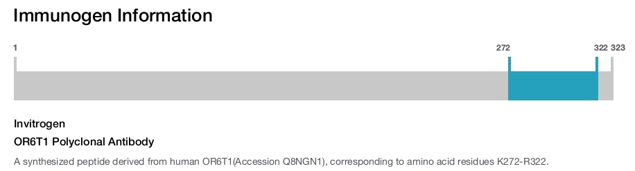 OR6T1 Polyclonal Antibody
