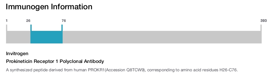 Prokineticin Receptor 1 Polyclonal Antibody