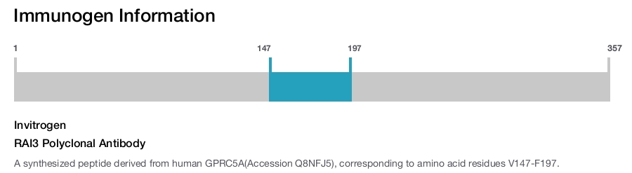 RAI3 Polyclonal Antibody