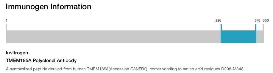 TMEM185A Polyclonal Antibody
