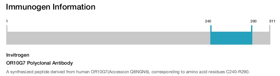 OR10G7 Polyclonal Antibody