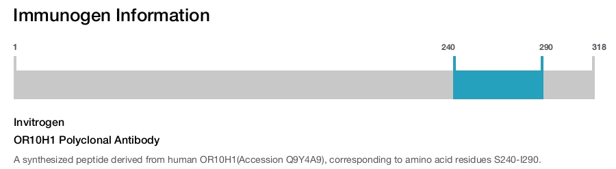 OR10H1 Polyclonal Antibody