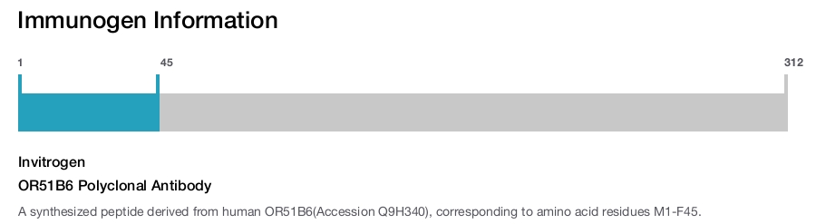 OR51B6 Polyclonal Antibody