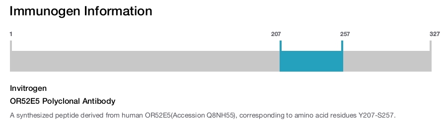 OR52E5 Polyclonal Antibody