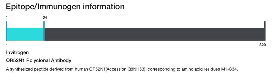 OR52N1 Polyclonal Antibody