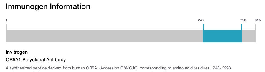 OR5A1 Polyclonal Antibody