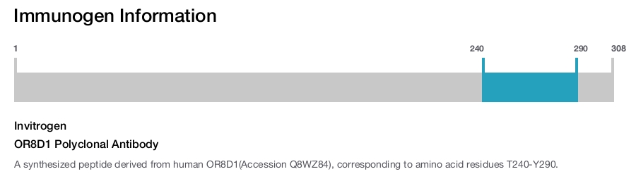 OR8D1 Polyclonal Antibody