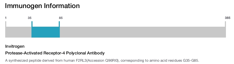Protease-Activated Receptor-4 Polyclonal Antibody