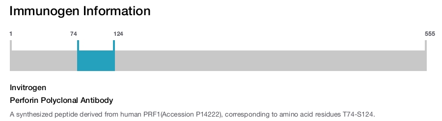 Perforin Polyclonal Antibody